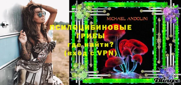 ГАЛЛЮЦИНОГЕННЫЕ ГРИБЫ Карпинск