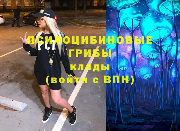 ГАЛЛЮЦИНОГЕННЫЕ ГРИБЫ Карпинск