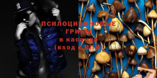 ГАЛЛЮЦИНОГЕННЫЕ ГРИБЫ Карпинск